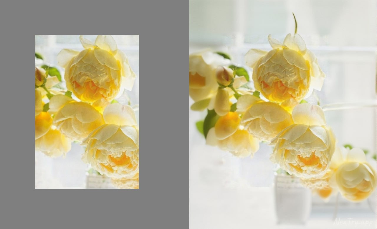 Outpaint - canvas extension