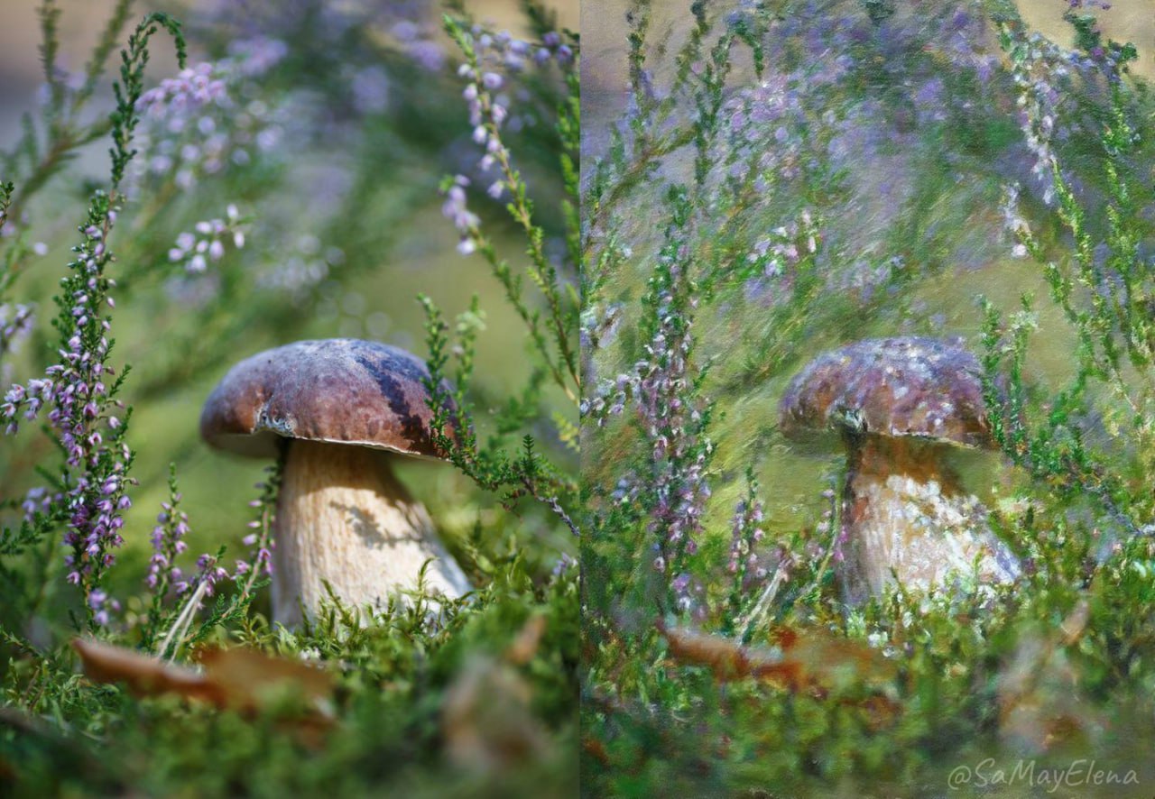 Style transfer - mushroom